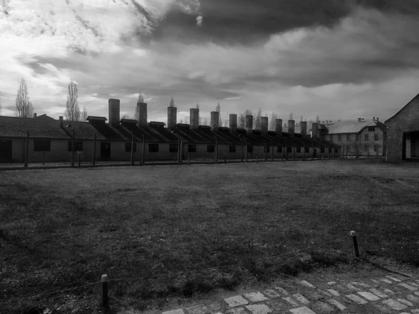 Galerie image 10 pour Photographie d'Auschwitz-Birkenau